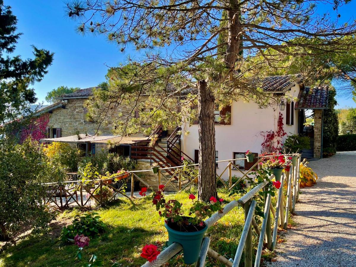 La Panoramica Gubbio - Maison De Charme - Casette E Appartamenti Self Catering Per Vacanze Meravigliose! المظهر الخارجي الصورة